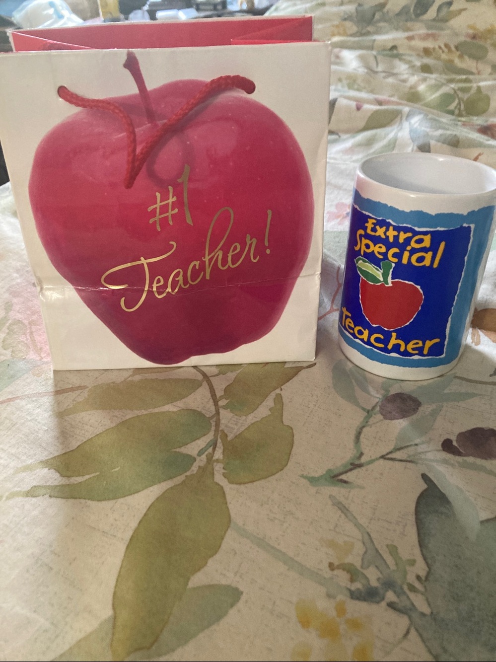 Extra Special Teacher Pencil holder and gift bag
